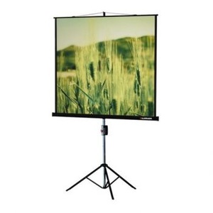 Экран для проекторов Lumien Eco View 180x180 см Matt White