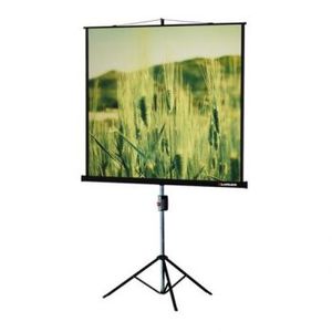 Экран для проекторов Lumien Master View 203x203 см Fiberglass Matt White